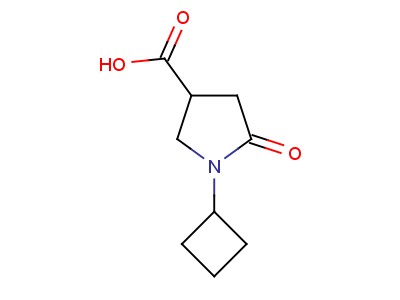 1-Cyclobutyl-5-oxopyrrolidine-3-carboxylic acid
