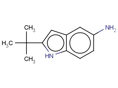 2-Tert-butyl-1h-indol-5-amine