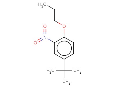 4-Tert-butyl-2-nitrophenyl propyl ether