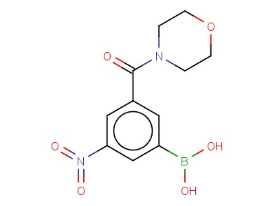 N-morpholinyl 3-borono-5-nitrobenzamide