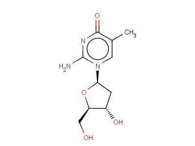 2'-Deoxy-5-methylisocytidine