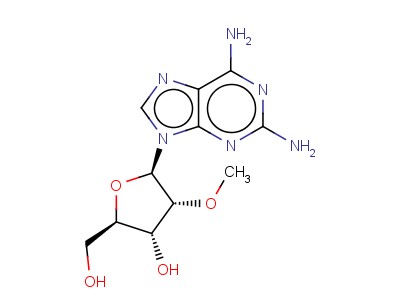 2-Amino-2'-o-methyladenosine