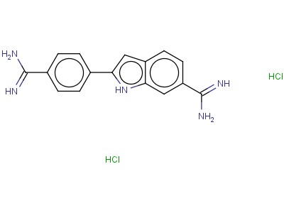 4',6-Diamidino-2-phenylindole dihydrochloride