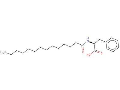N-tetradecanoyl-phenylalanine