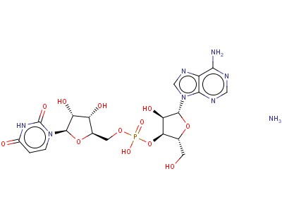 Adenylyl(3'-5')uridine ammonium salt