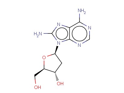 8-Amino-2'-deoxyadenosine