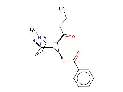 Cocaethylene