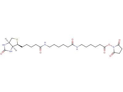 Biotinamidohexanoyl-6-aminohexanoic acid n-hydroxysuccinimide ester