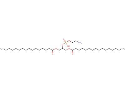 1,3-Dipalmitoyl-glycero-2-phosphoethanolamine